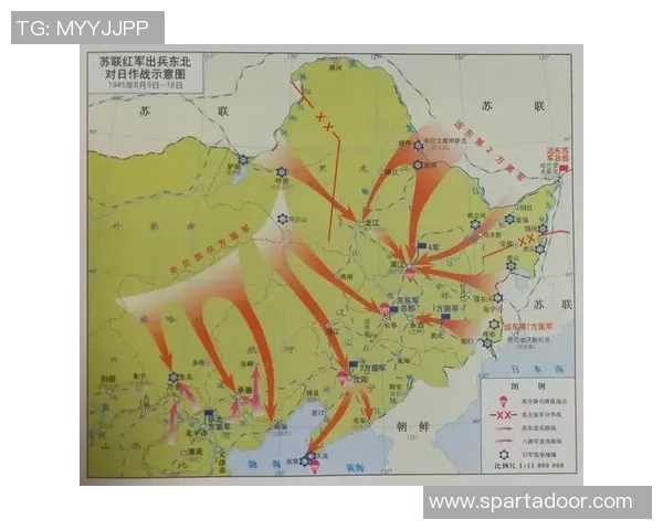 深入分析杭州排球队的进攻策略与战术特点探讨